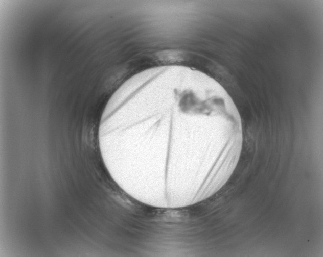 X0000063490330200602172058