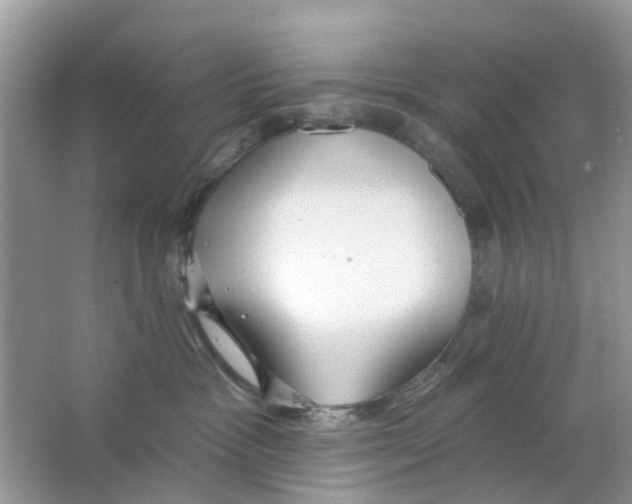 X0000063490333200602172058