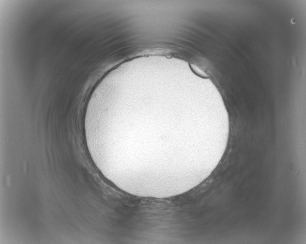 X0000063490337200602172057