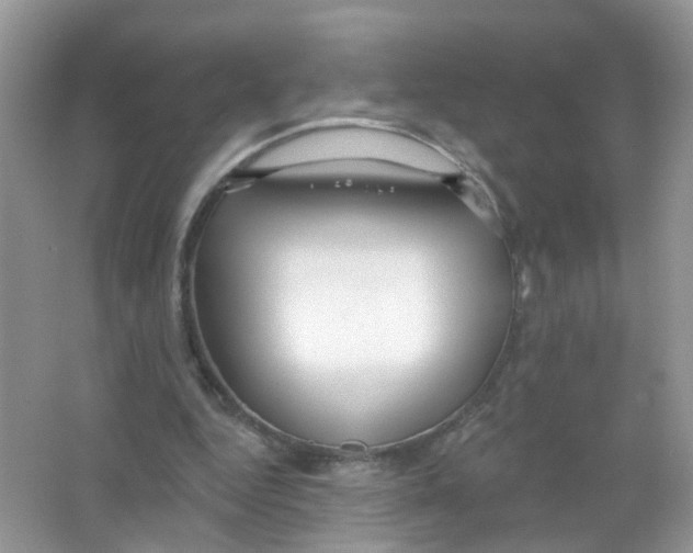 X0000063490344200602172057