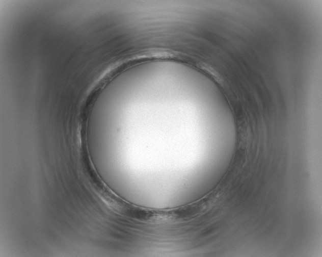 X0000063490350200602172057