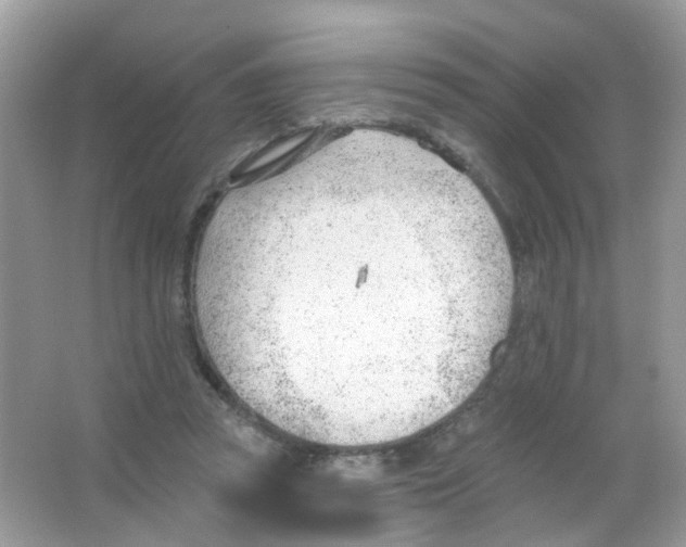 X0000063490353200602172057