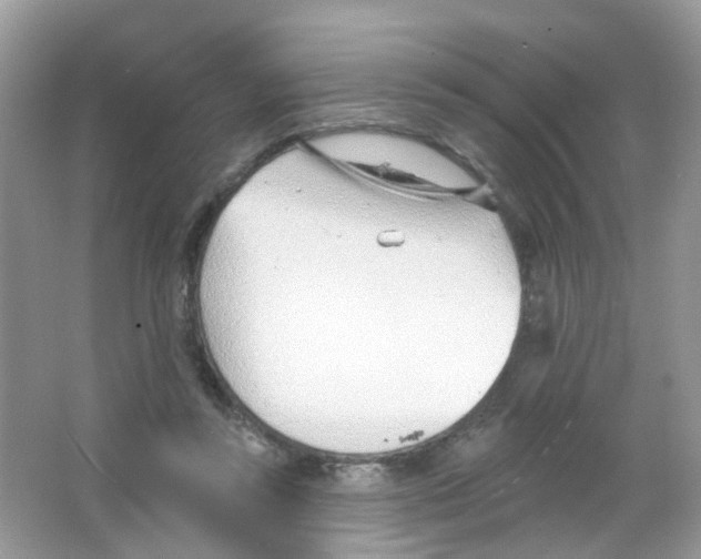 X0000063490355200602172057