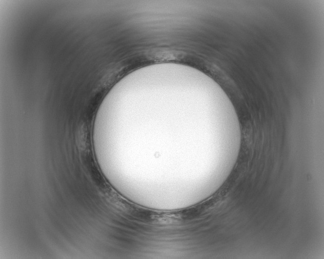 X0000063490359200602172057