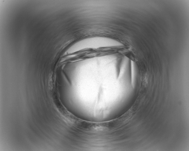 X0000063490360200602172057