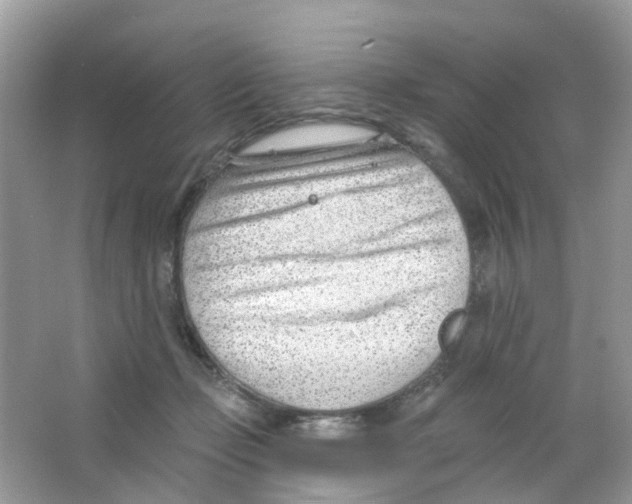 X0000063490365200602172058