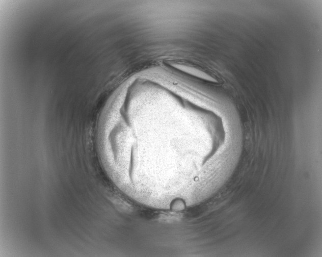 X0000063490369200602172058