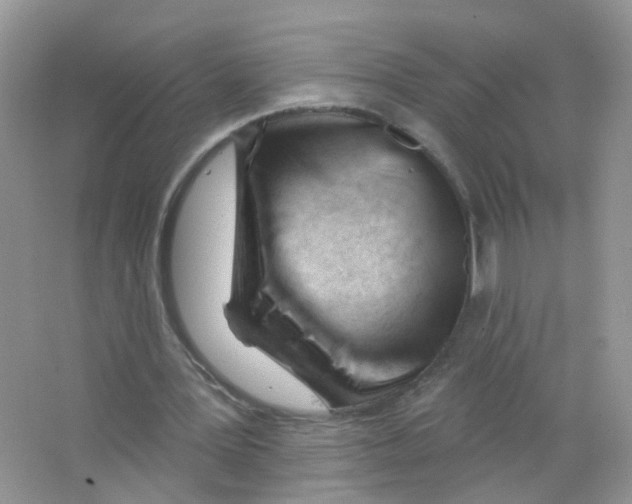 X0000063490387200602172057