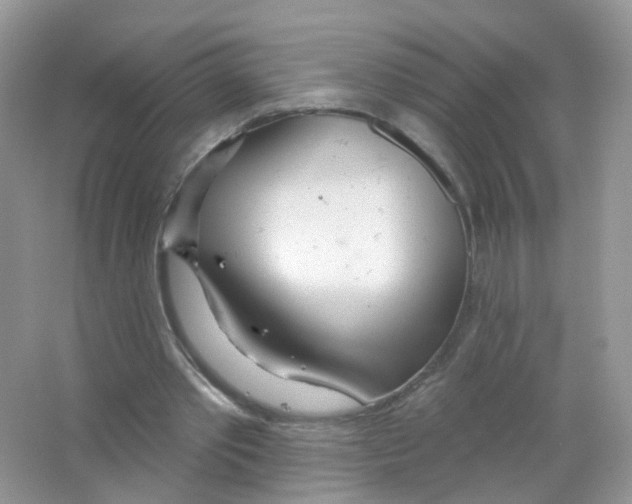 X0000063490389200602172057