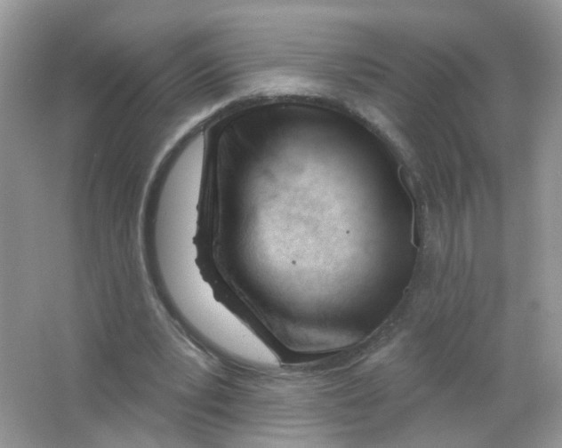 X0000063490391200602172057