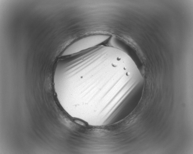 X0000063490393200602172057