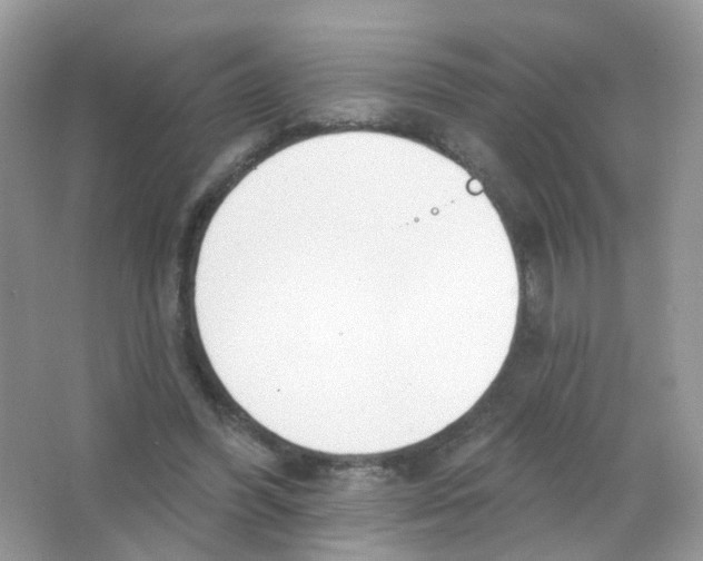 X0000063490396200602172057