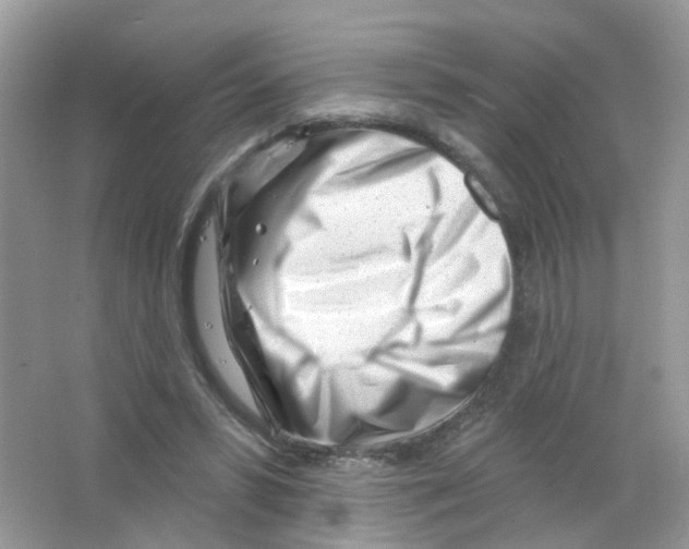 X0000063490399200602172057