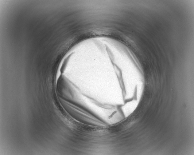 X0000063490402200602172057