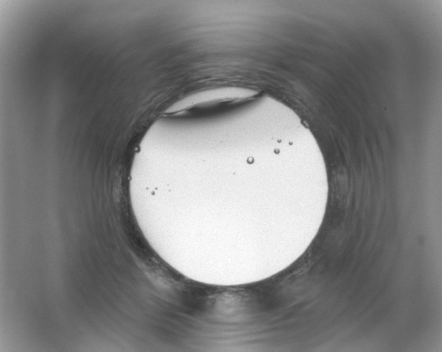 X0000063490412200602172057