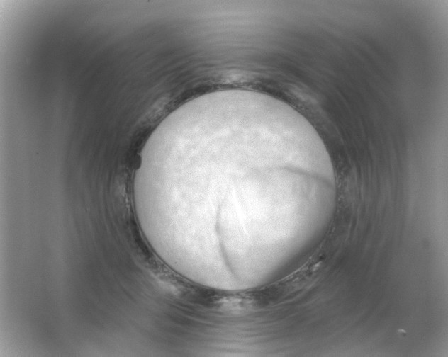 X0000063490415200602172056