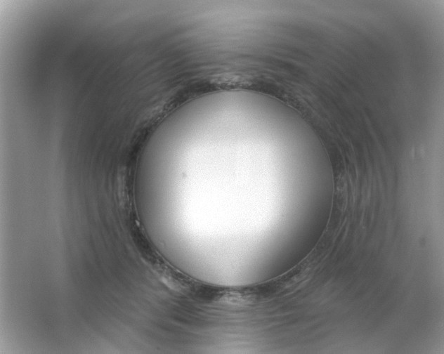 X0000063490416200602172056