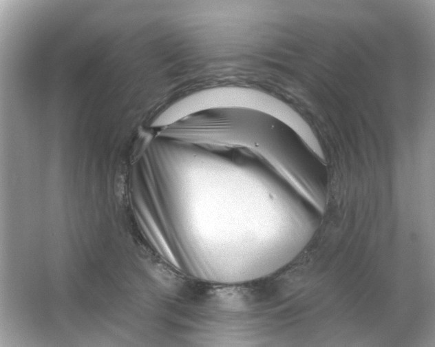 X0000063490417200602172056