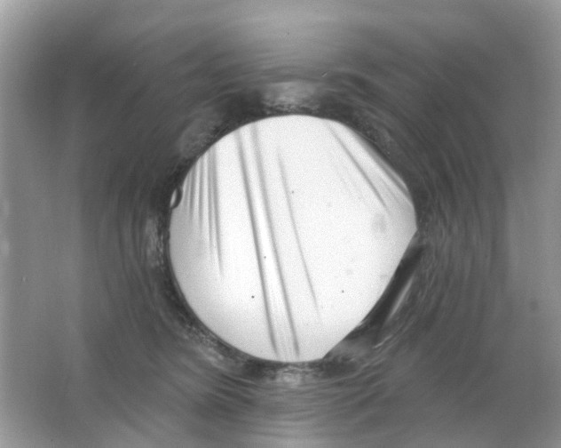 X0000063490420200602172056