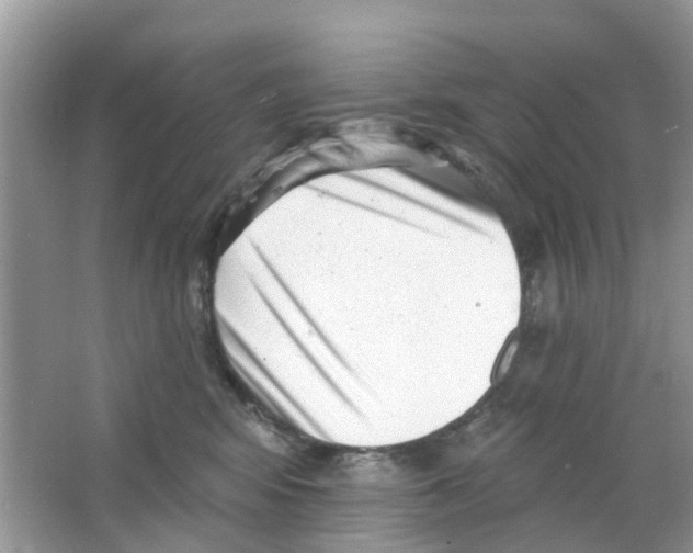 X0000063490424200602172056