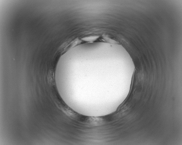 X0000063490429200602172056