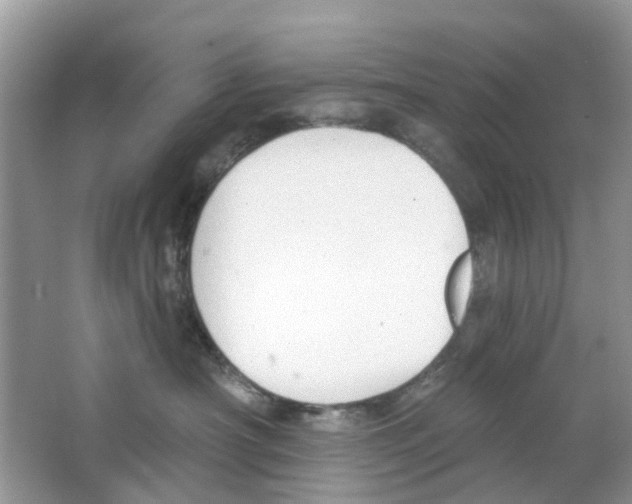 X0000063490430200602172056