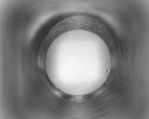 X0000063490431200602172056