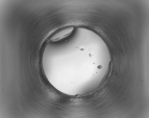 X0000063490440200602172055