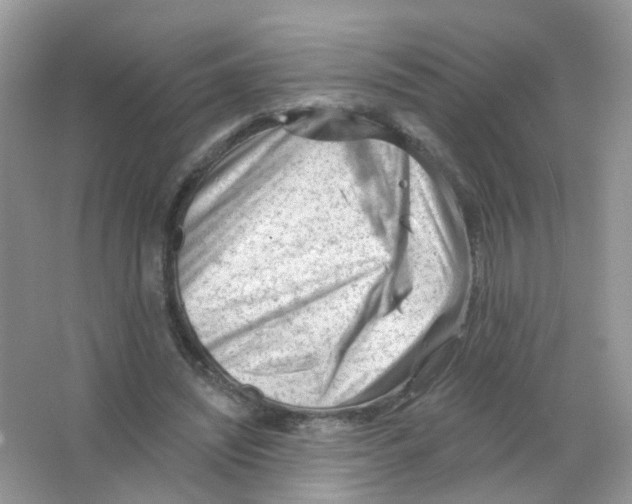 X0000063490444200602172056