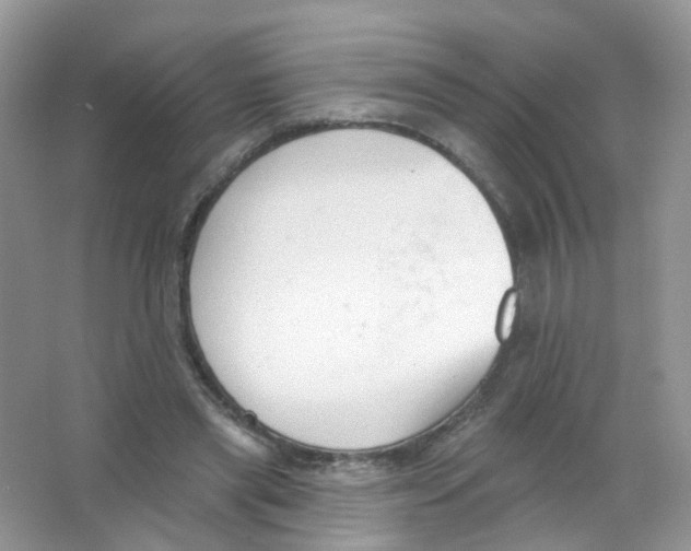 X0000063490445200602172056