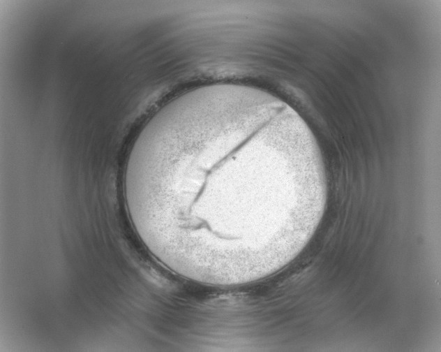 X0000063490447200602172056