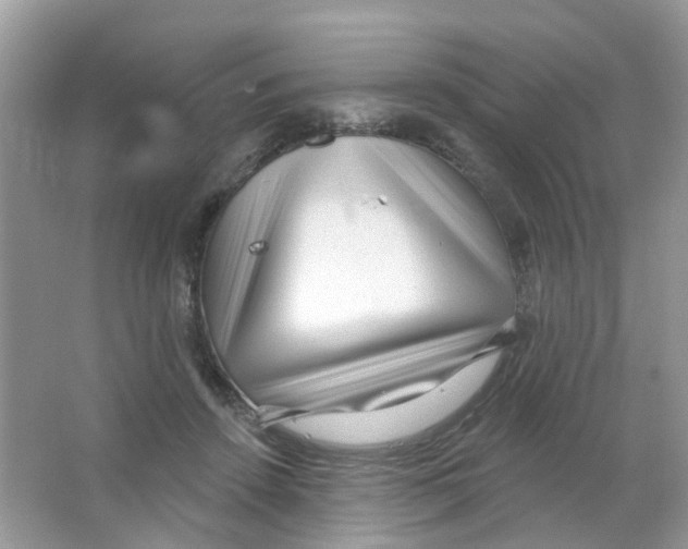 X0000063490456200602172056