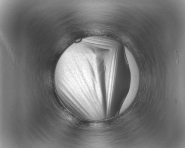 X0000063490457200602172056