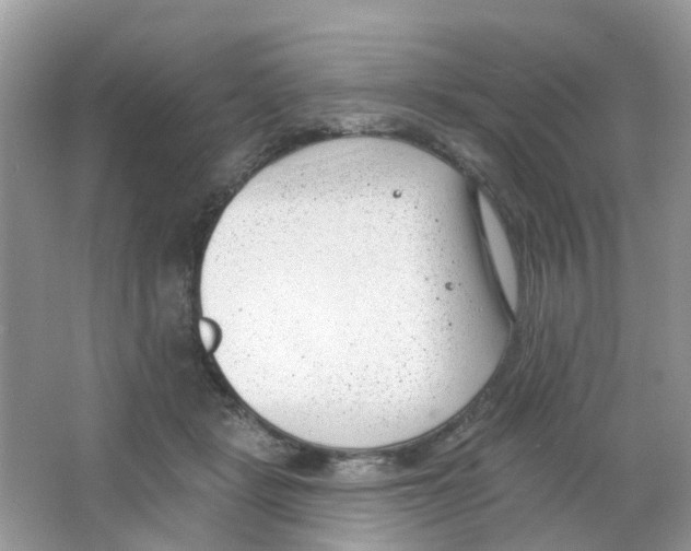 X0000063490461200602172056