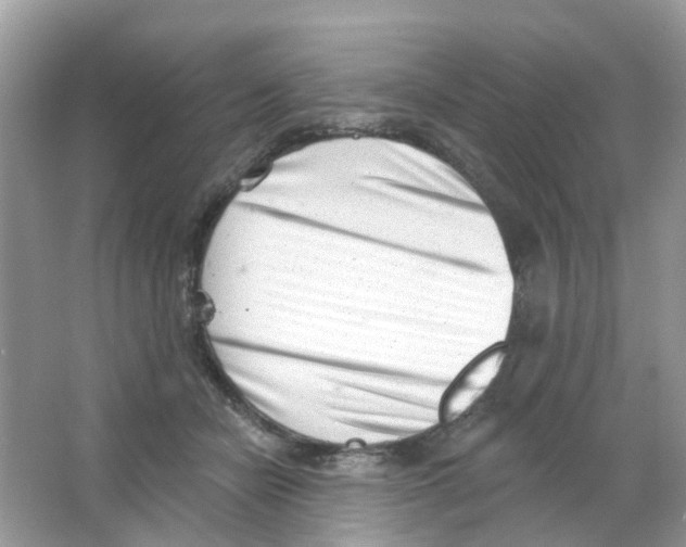 X0000063490462200602172056