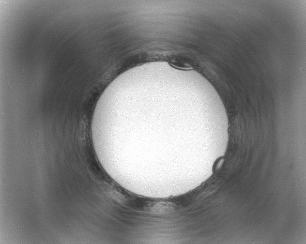 X0000063490463200602172056