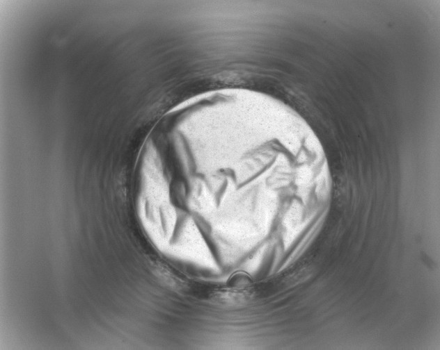 X0000063490466200602172056