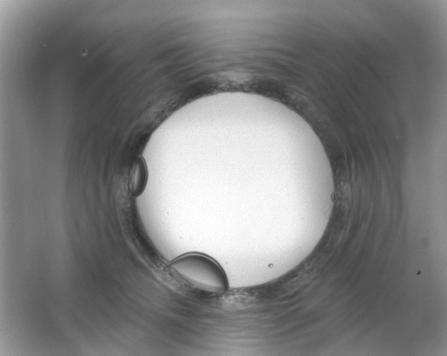 X0000063490468200602172056