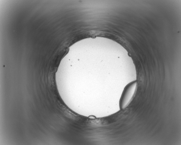 X0000063490473200602172056