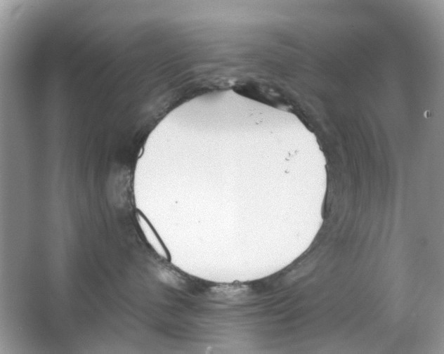 X0000063490480200602172056