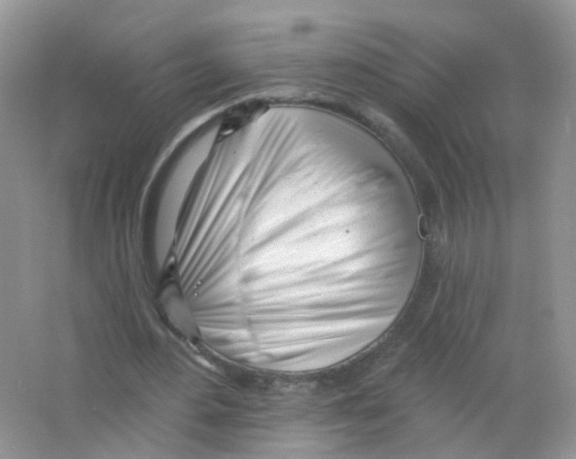 X0000063490484200602172055