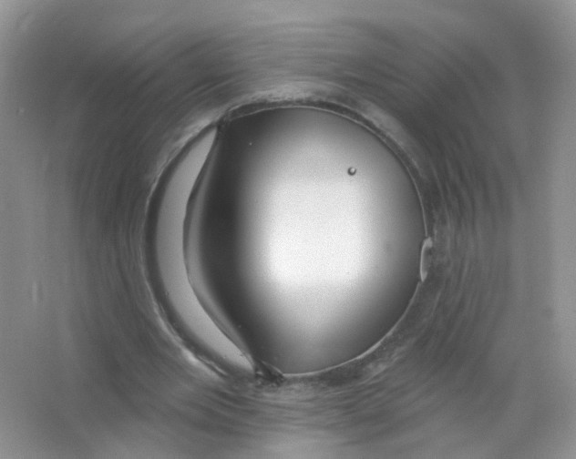 X0000063490485200602172055