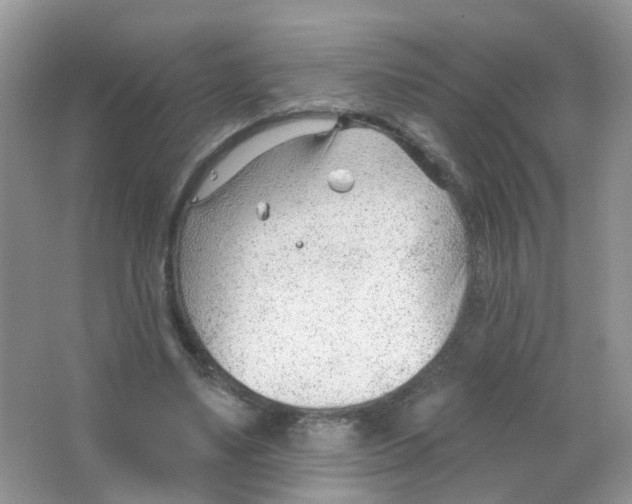 X0000063490491200602172055