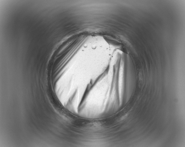 X0000063490492200602172055