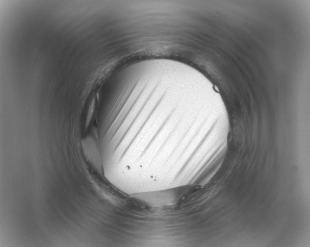 X0000063490493200602172055