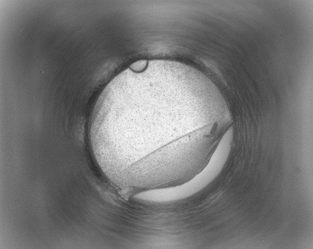 X0000063490495200602172055