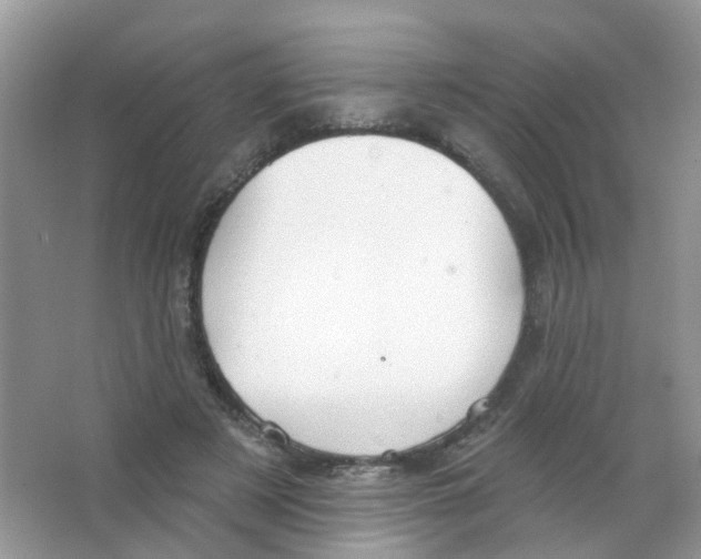 X0000063490497200602172055