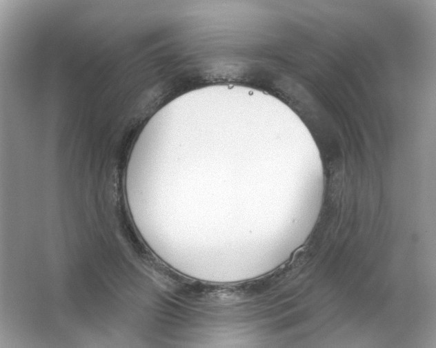 X0000063490498200602172055