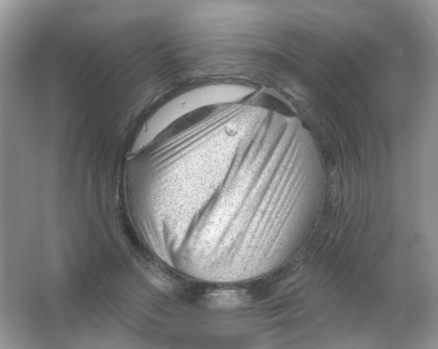 X0000063490499200602172055