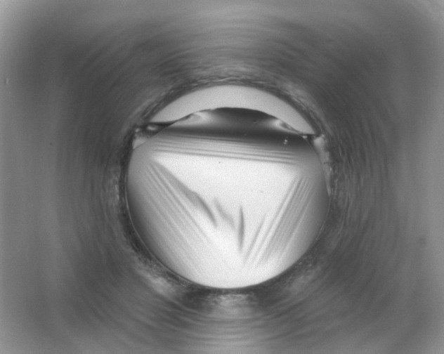 X0000063490501200602172055